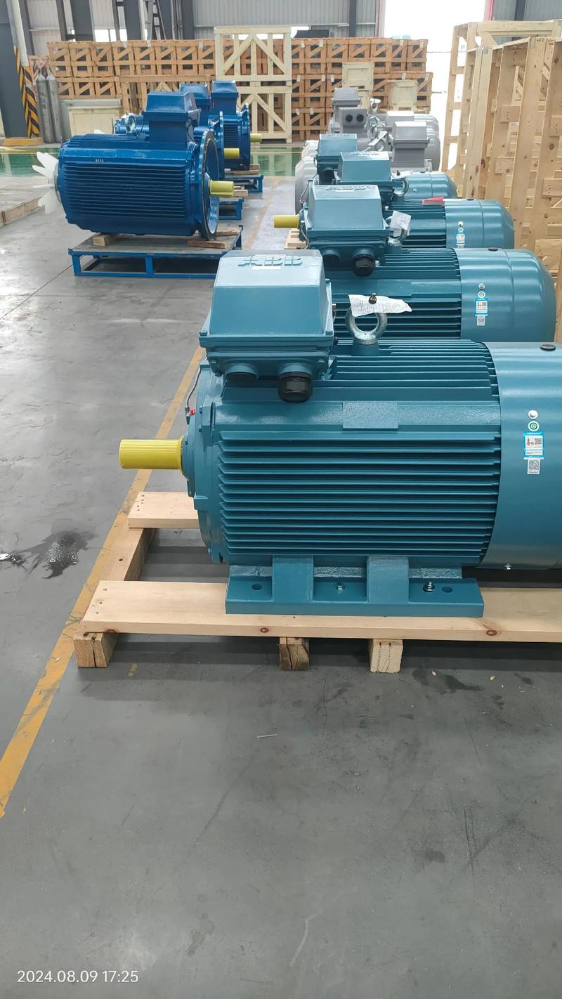 雙龍電機任你選 品質與動力的完美融合